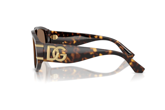 DYG4ACC01695AEW_Havana%2CDark+Brown_1.png