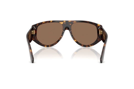 DYG4ACC01695AEW_Havana%2CDark+Brown_2.png