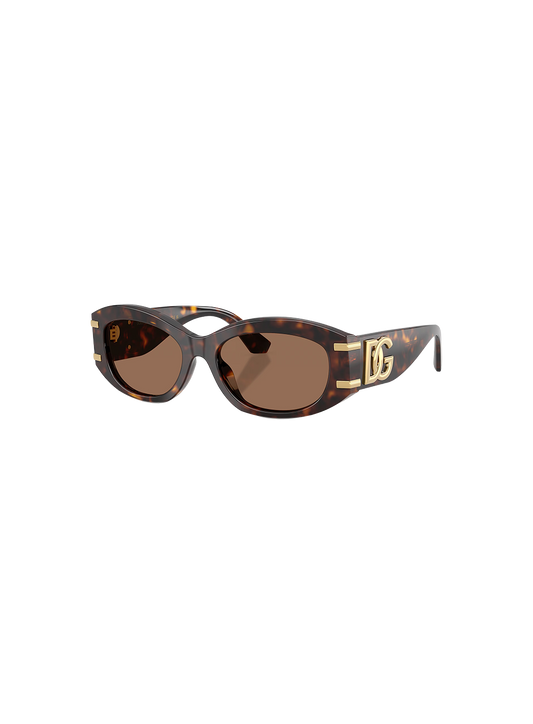 DYG4ACC01696AEW_Havana%2CDark+Brown_0.png