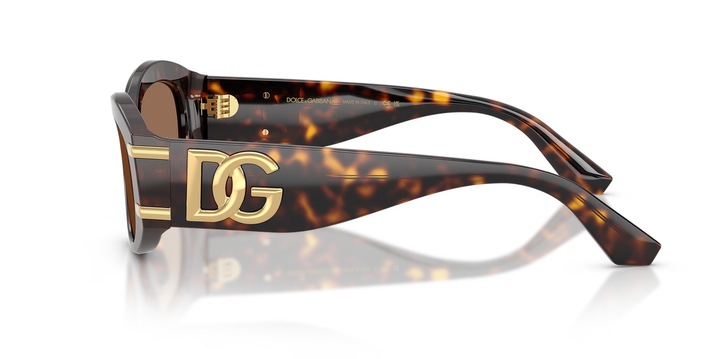 DYG4ACC01696AEW_Havana%2CDark+Brown_1.png