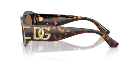 DYG4ACC01696AEW_Havana%2CDark+Brown_1.png