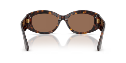 DYG4ACC01696AEW_Havana%2CDark+Brown_2.png
