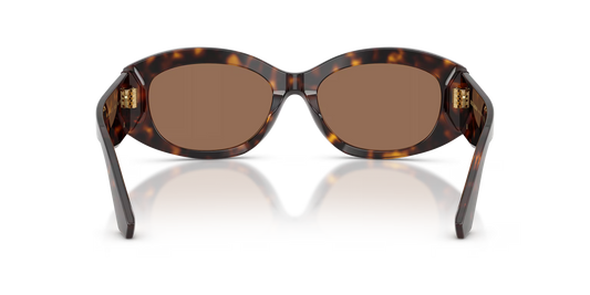 DYG4ACC01696AEW_Havana%2CDark+Brown_2.png