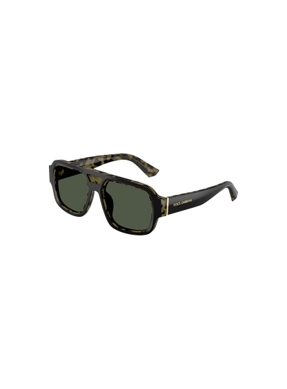 DYG4ACC01697AEM_Black+Havana%2CDark+Green+Polar_0.png