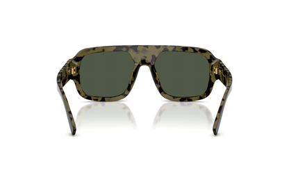 DYG4ACC01697AEM_Black+Havana%2CDark+Green+Polar_2.png