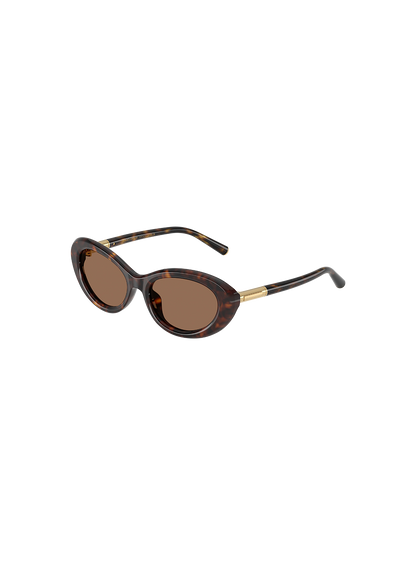 DYG4ACC01698AEW_Havana%2CDark+Brown_0.png