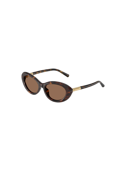 DYG4ACC01698AEW_Havana%2CDark+Brown_0.png