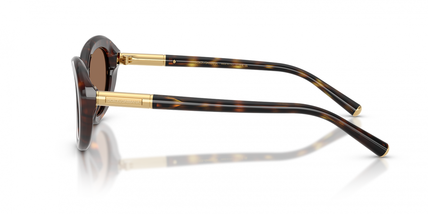 DYG4ACC01698AEW_Havana%2CDark+Brown_1.png