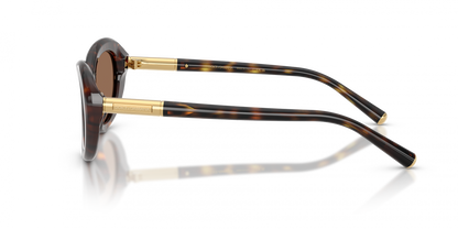 DYG4ACC01698AEW_Havana%2CDark+Brown_1.png
