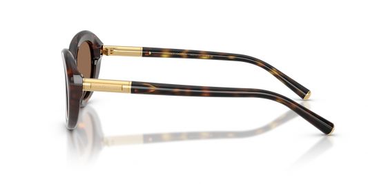 DYG4ACC01698AEW_Havana%2CDark+Brown_1.png