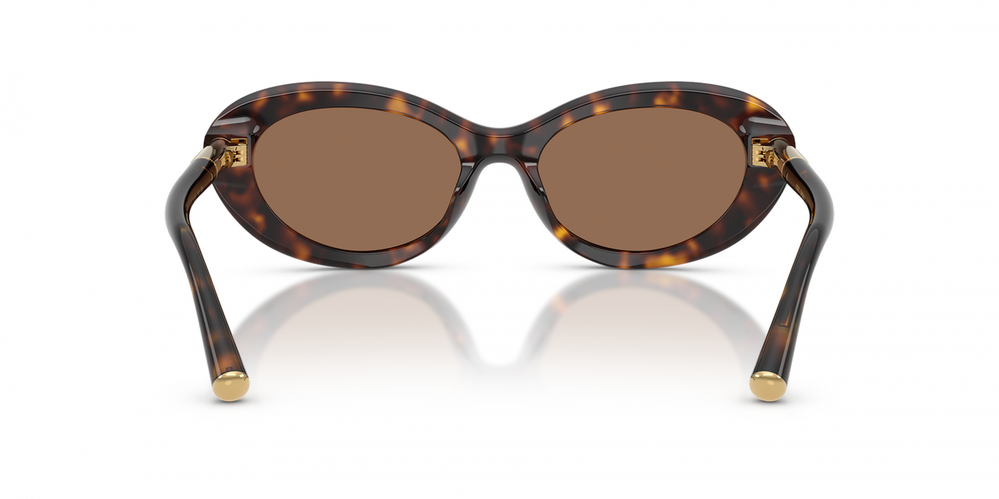DYG4ACC01698AEW_Havana%2CDark+Brown_2.png