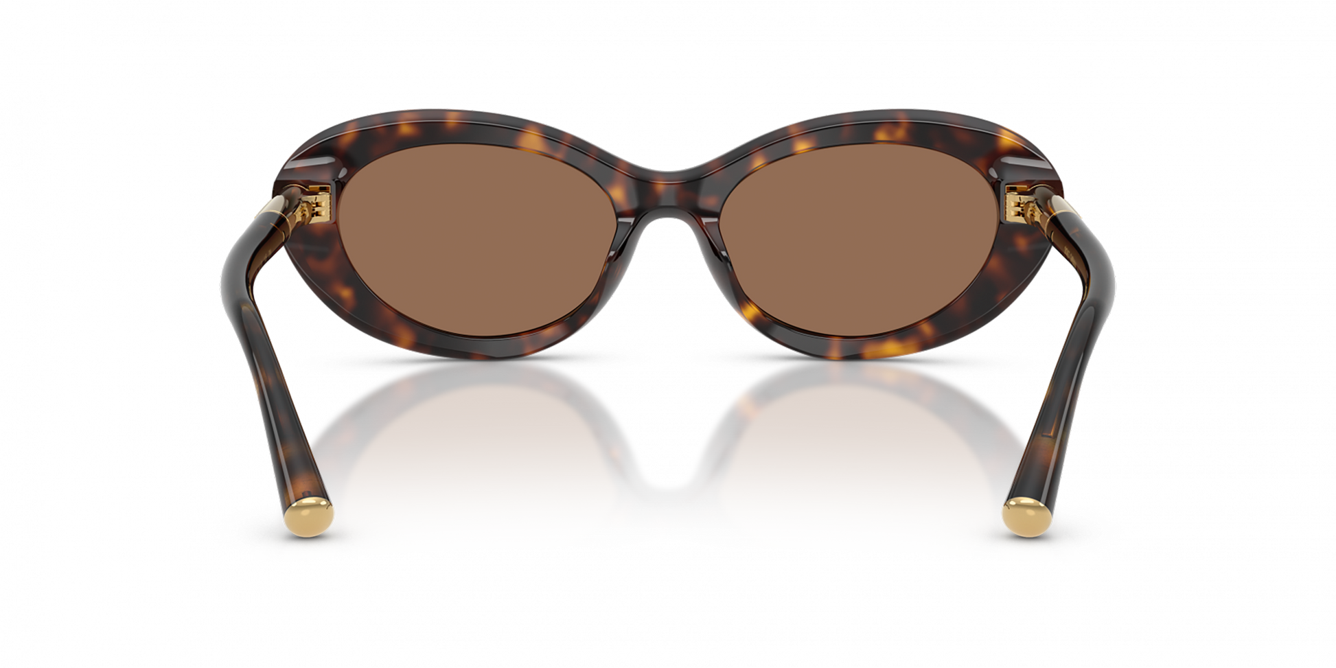 DYG4ACC01698AEW_Havana%2CDark+Brown_2.png