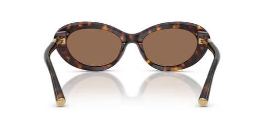 DYG4ACC01698AEW_Havana%2CDark+Brown_2.png
