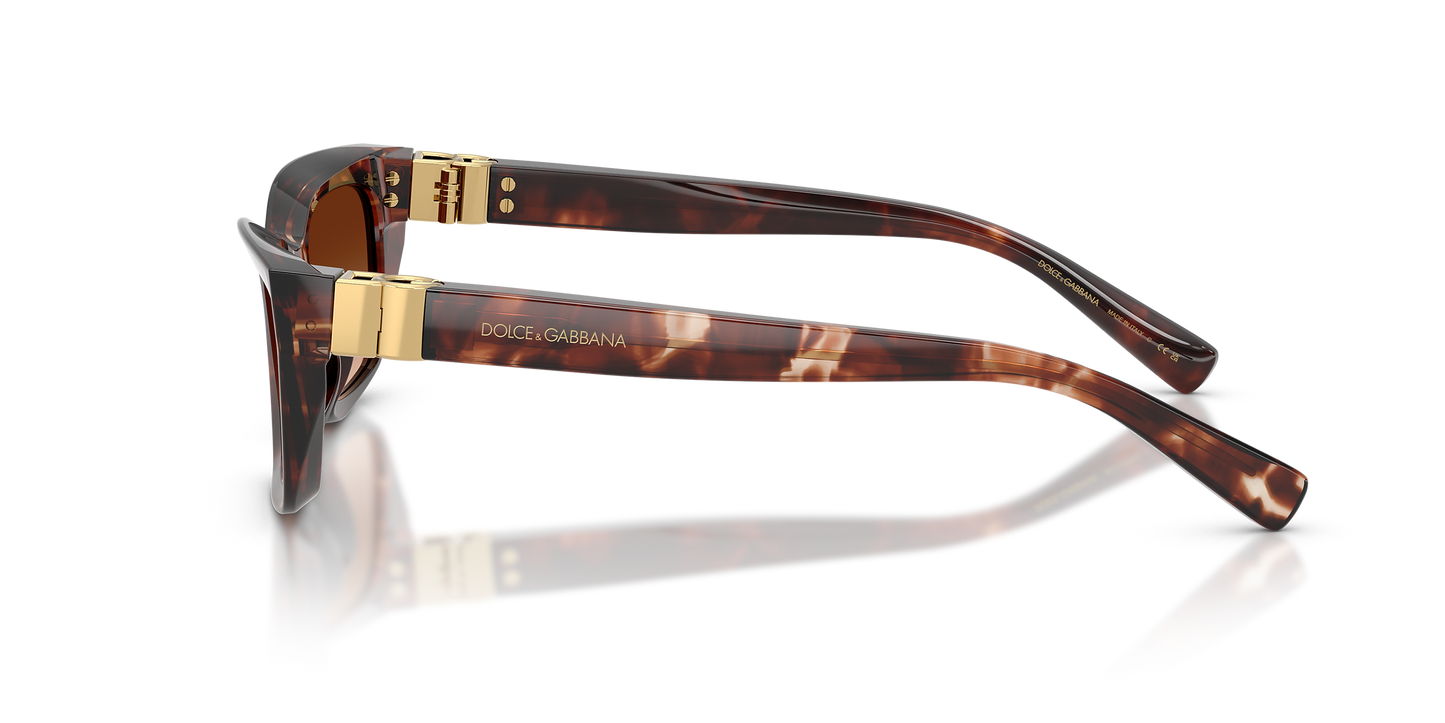DYG4ACC01699AEW_Dark+Red+Havana%2CBrown+Gradient_1.png