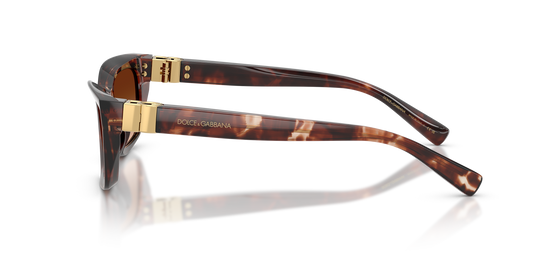 DYG4ACC01699AEW_Dark+Red+Havana%2CBrown+Gradient_1.png