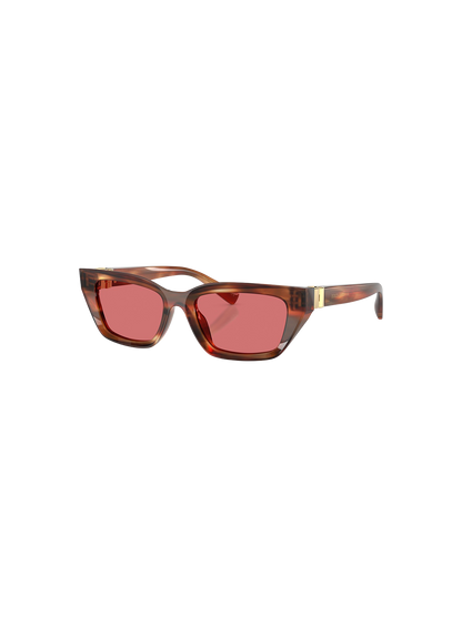 DYG4ACC01699AEW_Striped+Brown%2CRed_0.png