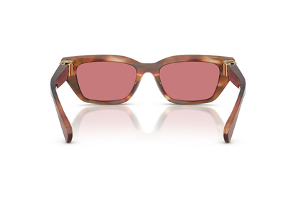 DYG4ACC01699AEW_Striped+Brown%2CRed_2.png