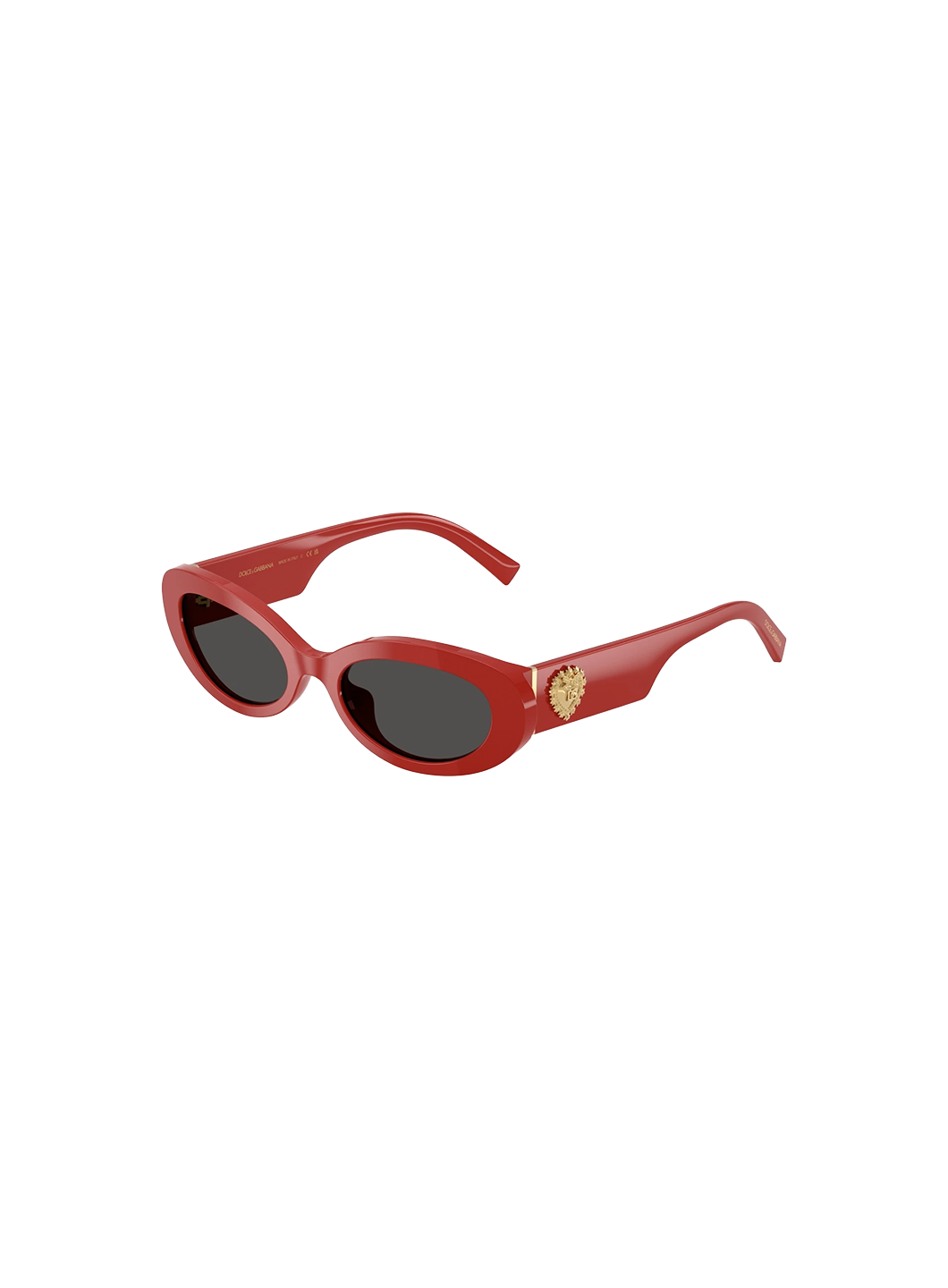 DYG4ACC01700AEW_Full+Red%2CDark+Grey_0.png