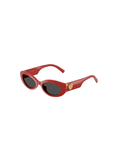 DYG4ACC01700AEW_Full+Red%2CDark+Grey_0.png