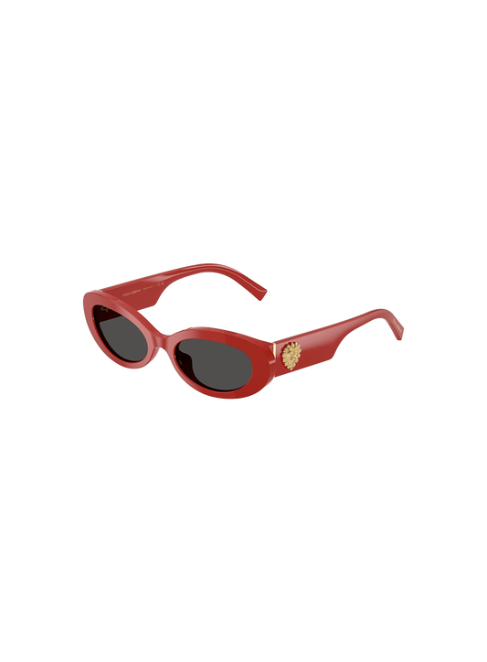 DYG4ACC01700AEW_Full+Red%2CDark+Grey_0.png