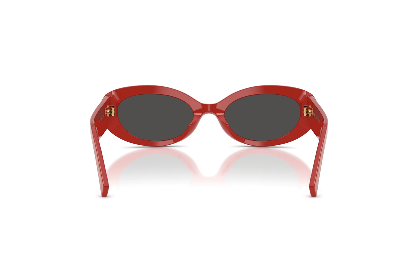 DYG4ACC01700AEW_Full+Red%2CDark+Grey_2.png