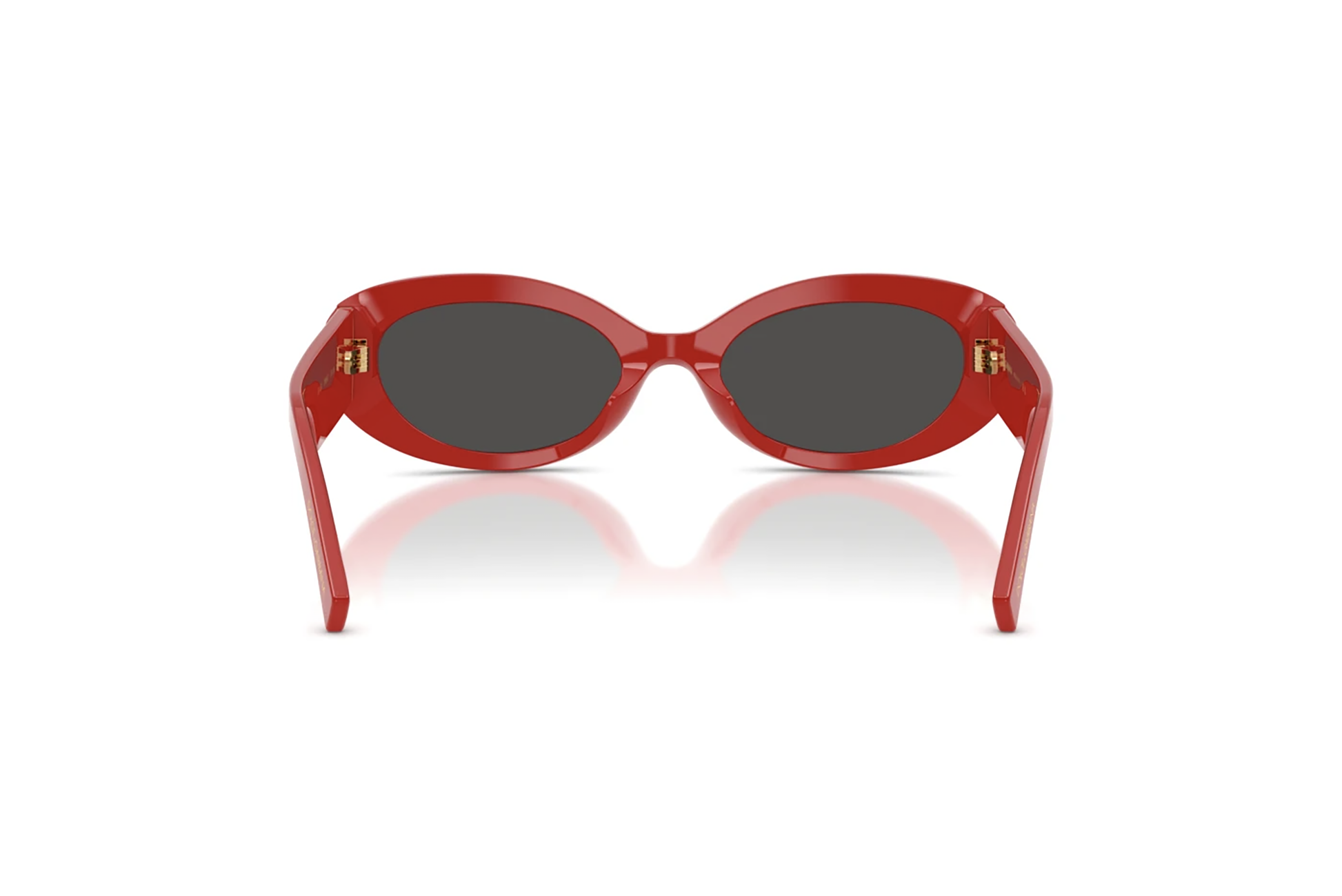 DYG4ACC01700AEW_Full+Red%2CDark+Grey_2.png
