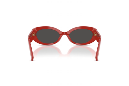 DYG4ACC01700AEW_Full+Red%2CDark+Grey_2.png