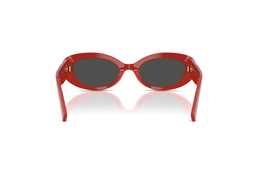 DYG4ACC01700AEW_Full+Red%2CDark+Grey_2.png