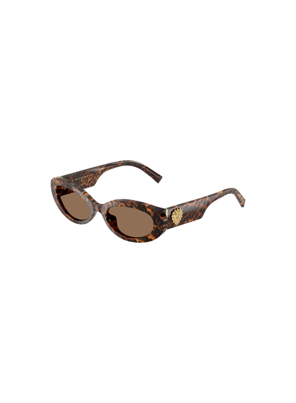 DYG4ACC01700AEW_Leo+Transparent%2CDark+Brown_0.png