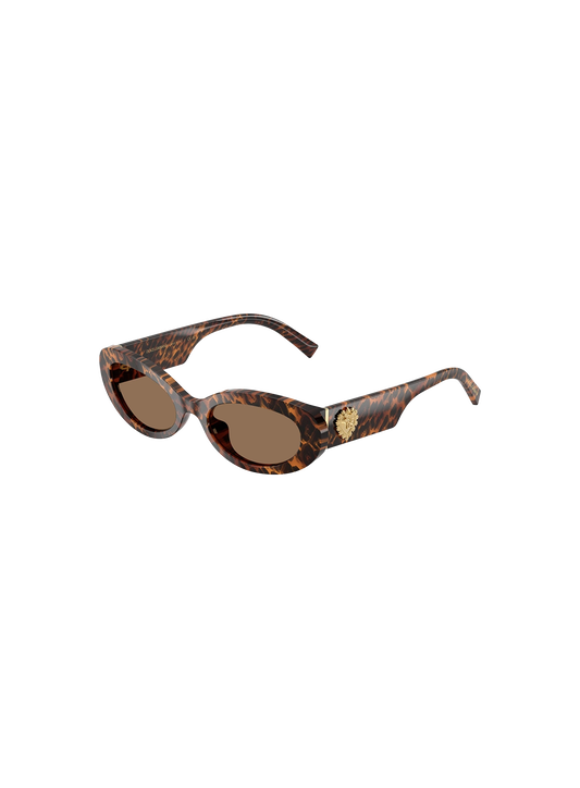 DYG4ACC01700AEW_Leo+Transparent%2CDark+Brown_0.png