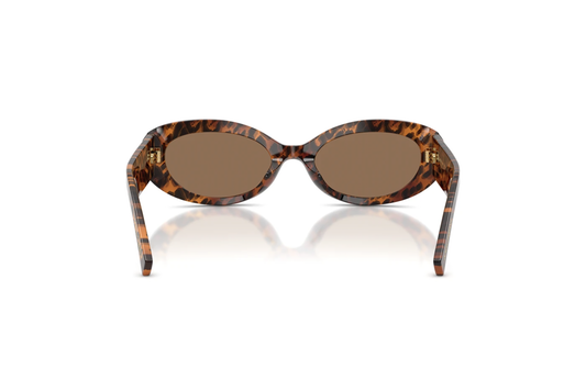 DYG4ACC01700AEW_Leo+Transparent%2CDark+Brown_2.png