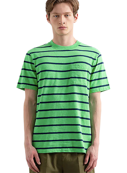 EDS1TOP01048CTM_PLAIN+GREEN_0.png