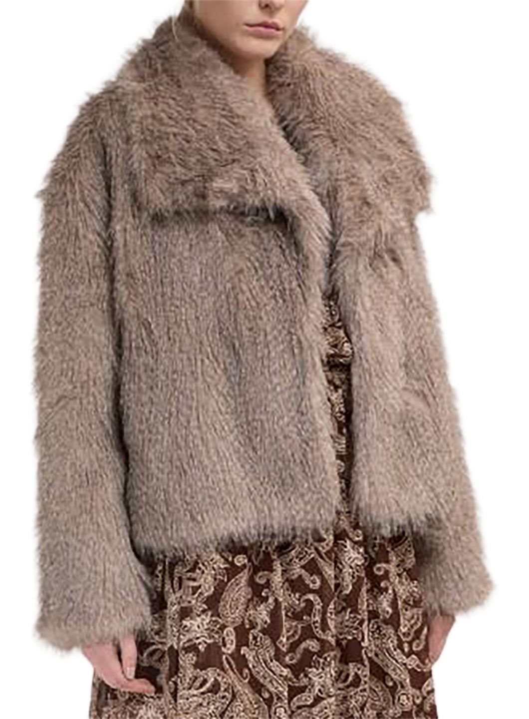 ELH1CJK17923PYW_GRIS_0.png