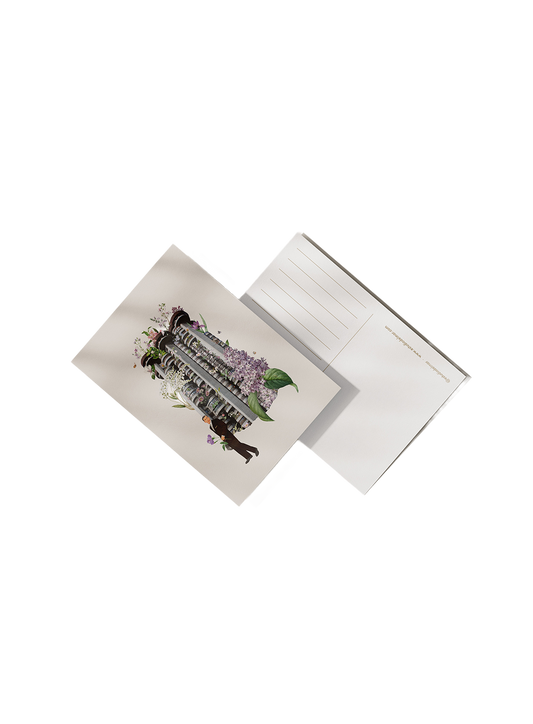 EMA8ART11512PPU_Multicolor_0.png