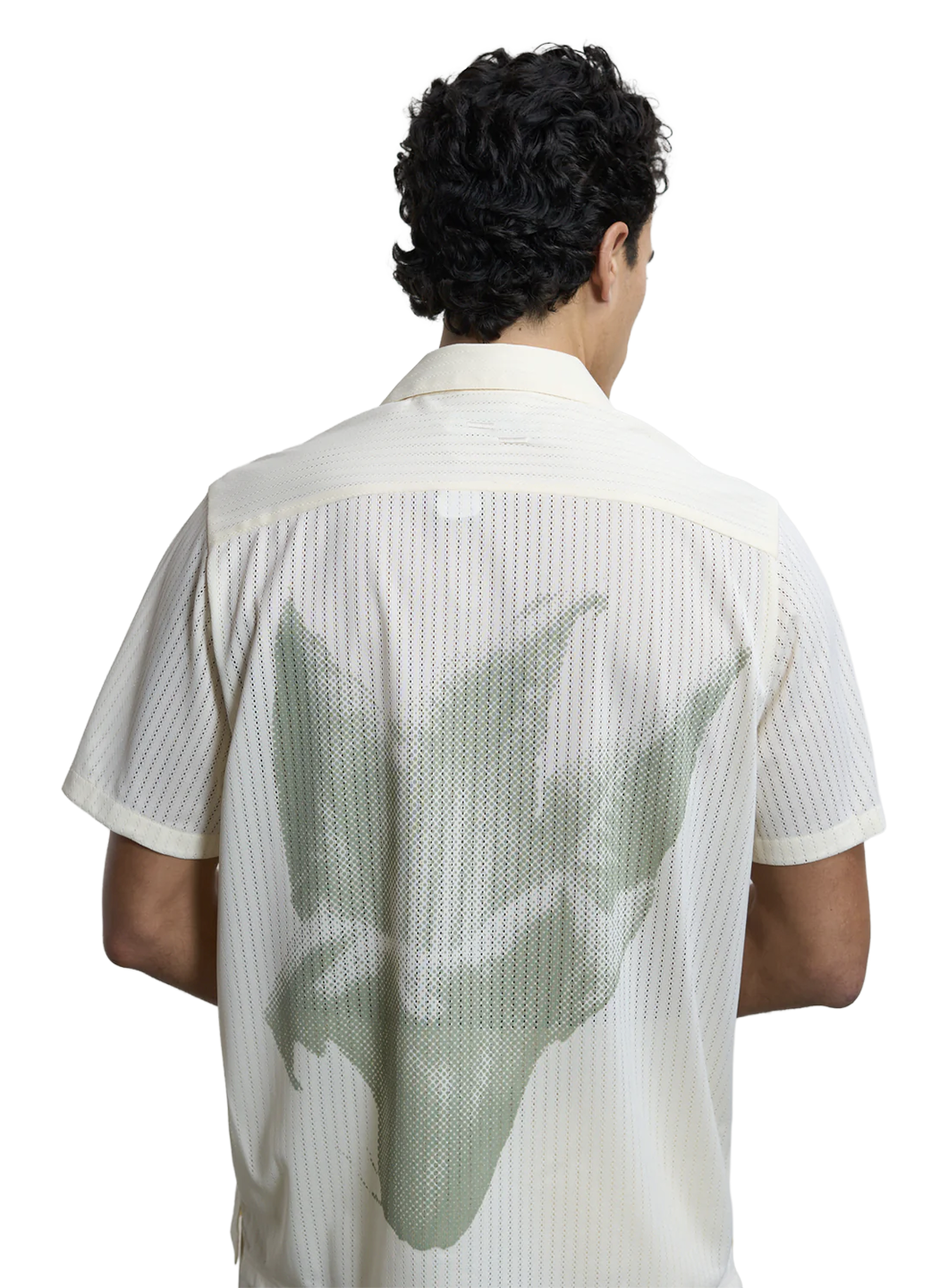 FIL1TOP02413CTM_Antique+White_0.png