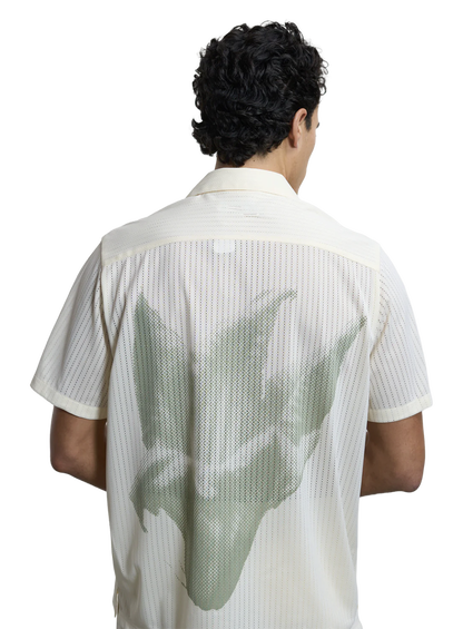 FIL1TOP02413CTM_Antique+White_0.png