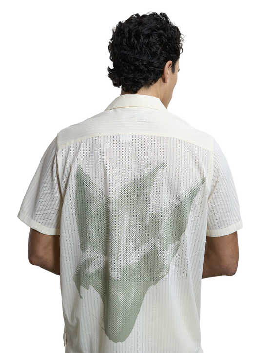 FIL1TOP02413CTM_Antique+White_0.png