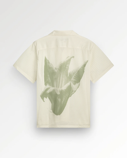FIL1TOP02413CTM_Antique+White_3.png