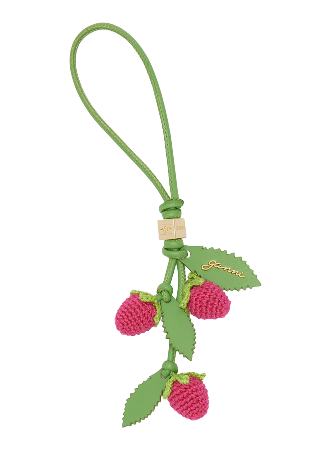 GANBBCP00022LEW_Raspberry_0.png