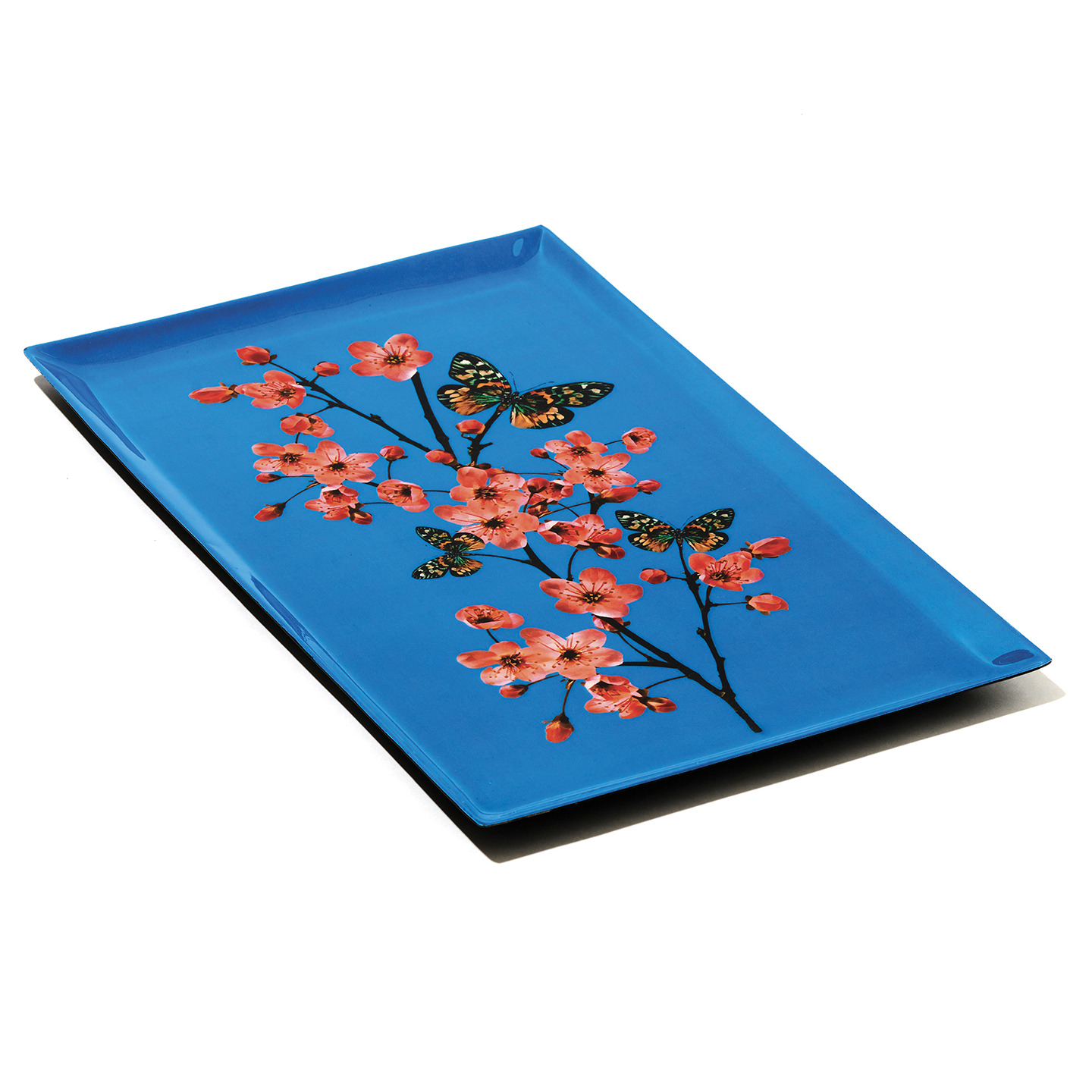 GNG8DEC08890STU_Multicolor_1.png