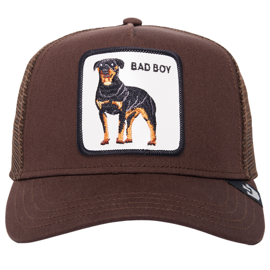 GOB4HAT00018PYU_Brown_0.png