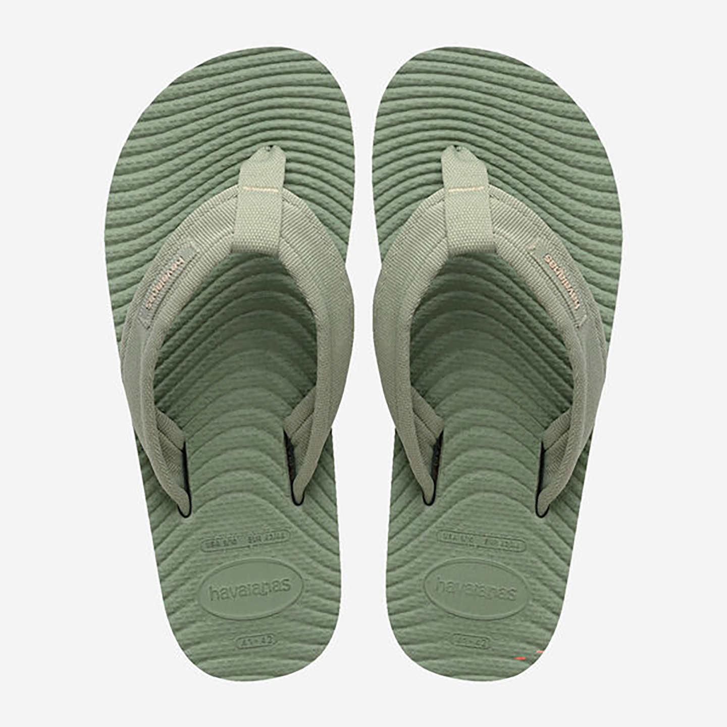 HAVCCAL00000RUM_Olive+Green_2.png