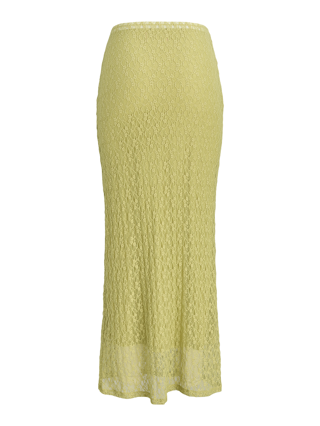 JJX1SKI00001POW_Fern_7.png