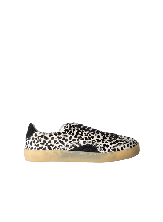 KOOCCAL10899LEU_Dalmatian_0.png