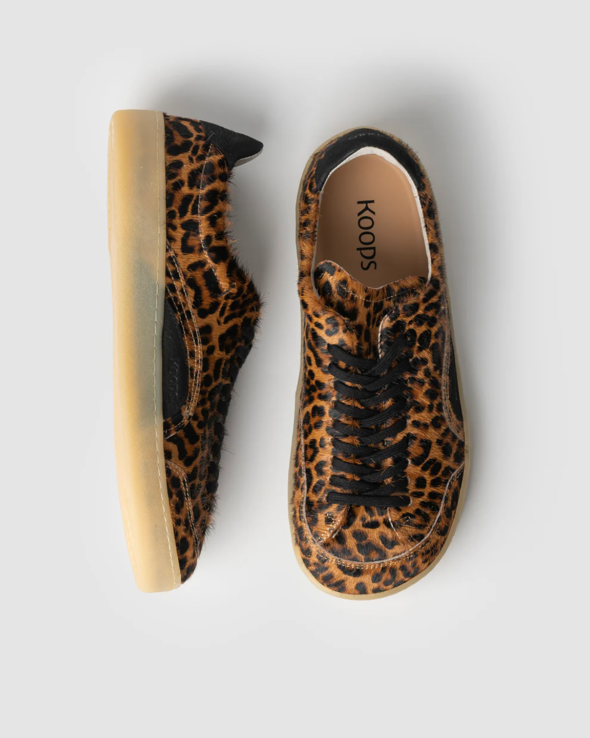 KOOCCAL10899LEU_Leopard_1.png