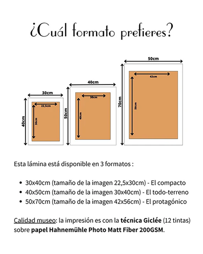 MDR8ART10021PPU_Multicolor_2.png