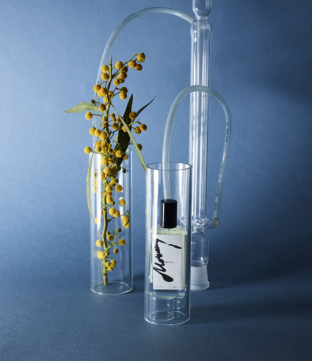 MID6EDP00006OMU_White_1.png