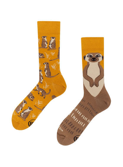 MMG2SNE18202CTU_The+Meerkat_0.png
