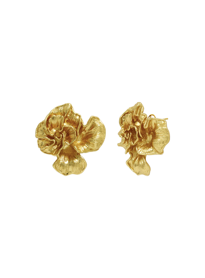 MNC5JEW04557BRW_Oro_0.png