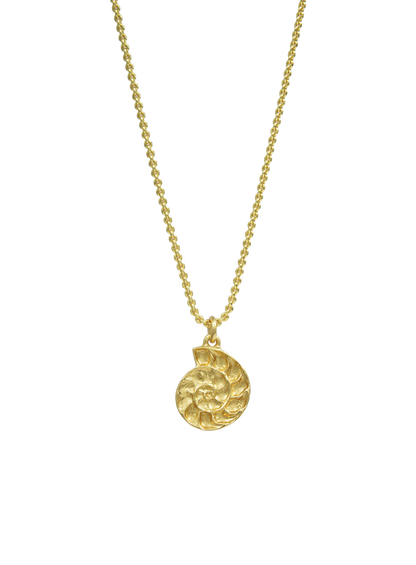 MNC5JEW04563BRW_Oro_0.png